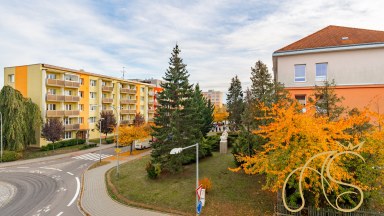 Prodej byt 2+1, Václavské náměstí, Třebíč