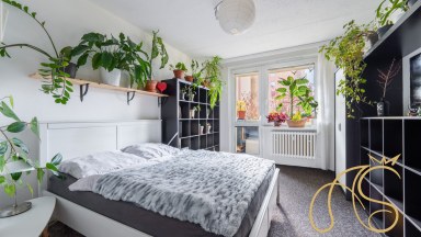 Prodej byt 3+1, ul. Dukovanská, Třebíč