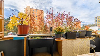 Prodej byt 3+1, ul. Dukovanská, Třebíč