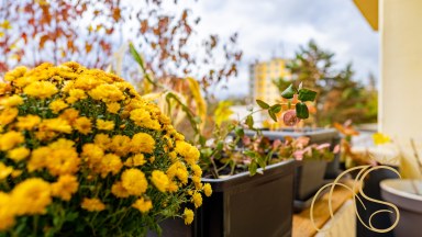 Prodej byt 3+1, ul. Dukovanská, Třebíč