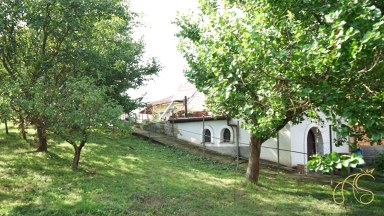 Prodej pozemku, vinice a sklepa, Valtice