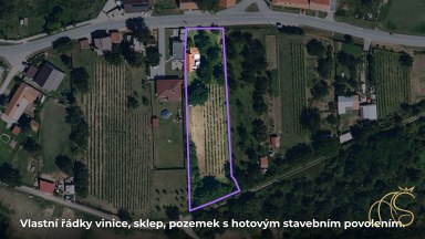 Prodej pozemku, vinice a sklepa, Valtice