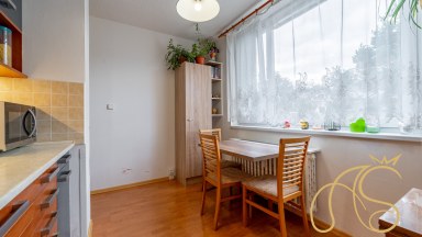 Byt 1+1, ul. Březinova, Jihlava