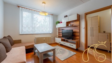 Byt 1+1, ul. Březinova, Jihlava