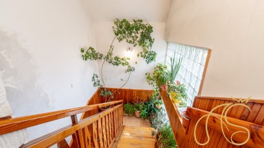 Prodej rodinného domu 5+1, Plenkovice, Znojmo